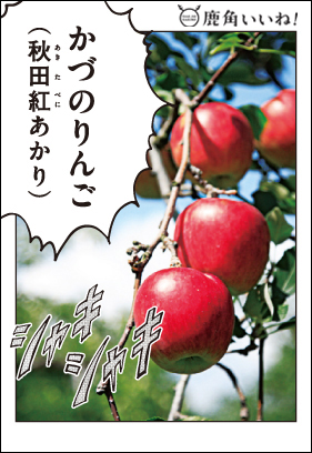 かづのりんご 秋田紅あかり 6個入り 鹿角いいね