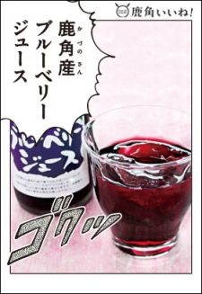 鹿角産ブルーベリージュース（500ml） (有)八幡平フーズ