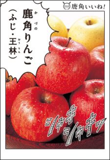 鹿角りんご（ふじ・王林）3ｋ詰め合わせ (有)大湯観光りんご園