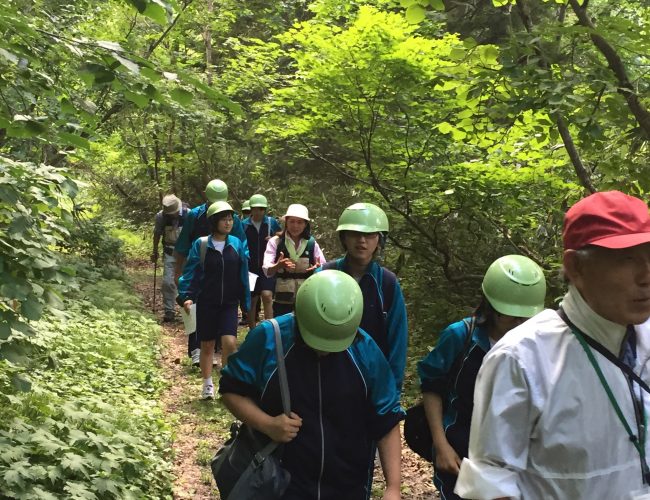 秋田八幡平の森の癒しを地元の中学生たちが学んだっす